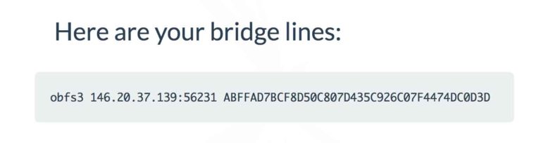 enable tor bridge